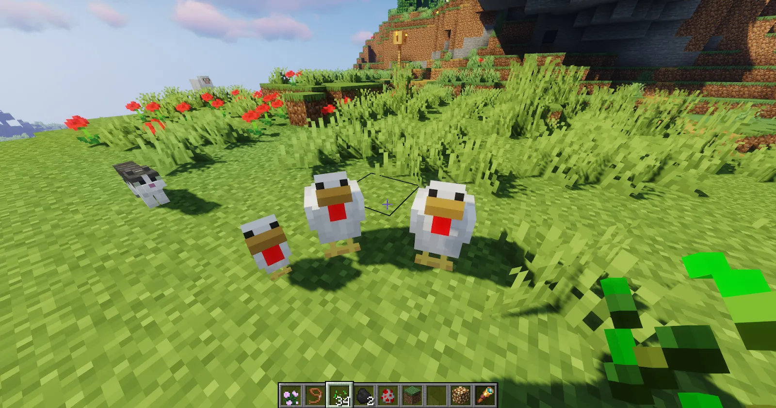 Minecraft Chicken family