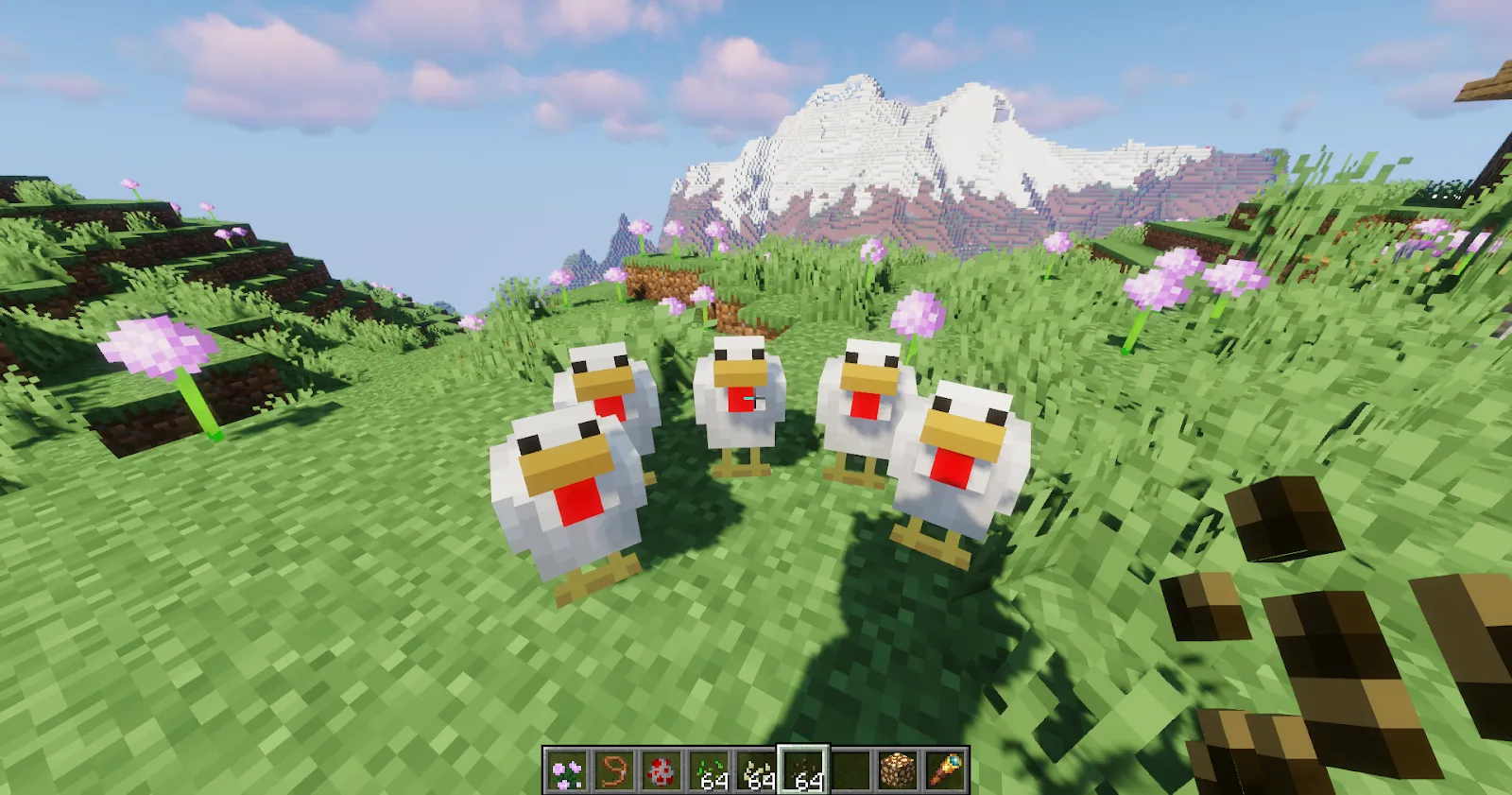 Leading Minecraft chickens with seeds