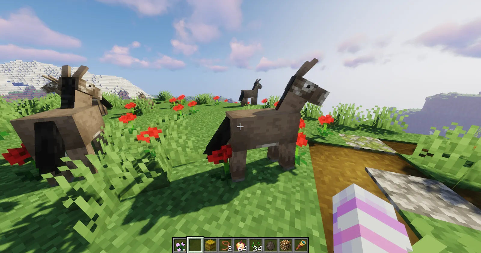 Approaching Minecraft donkey to tame