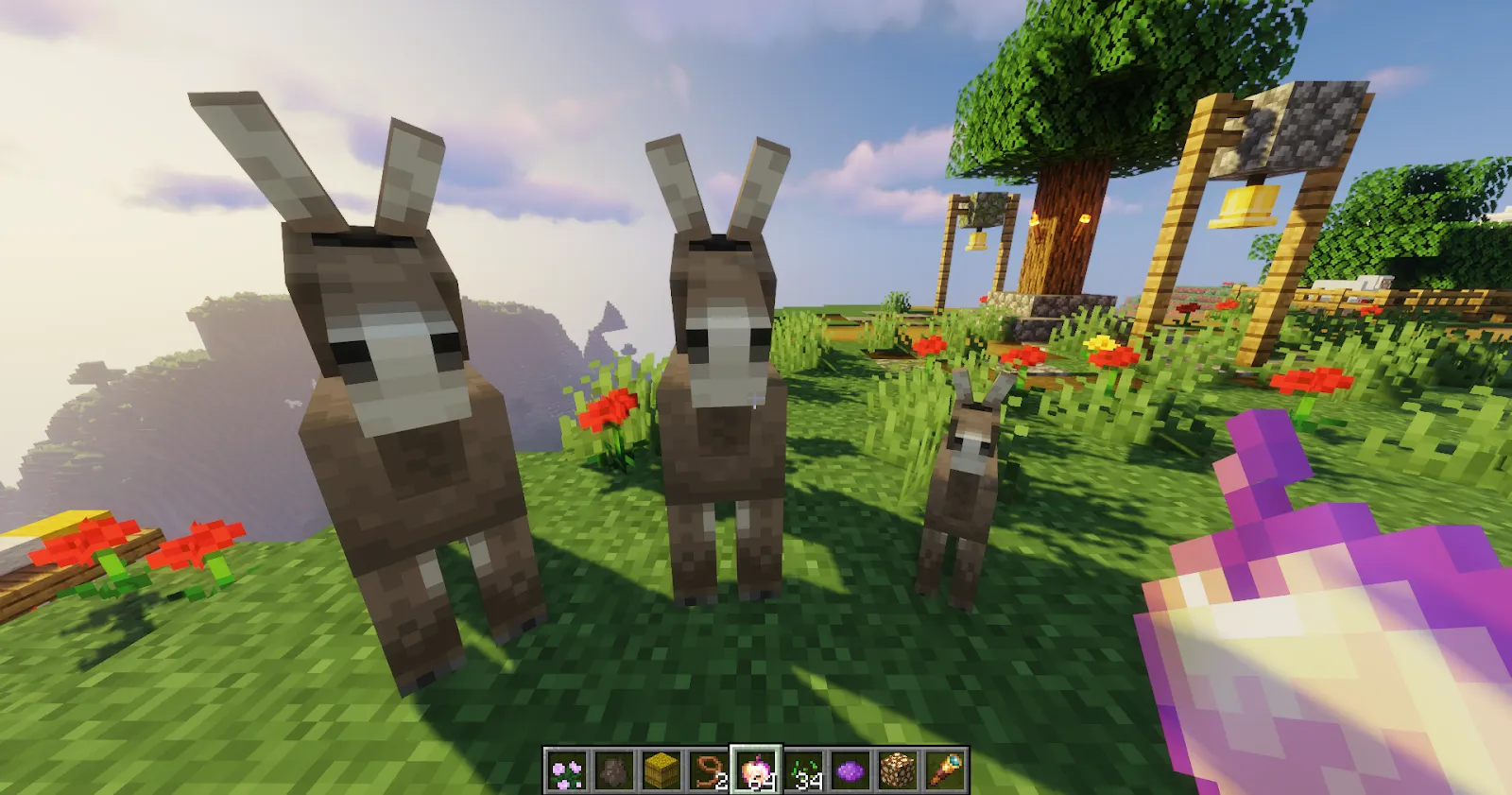 Minecraft Donkey family