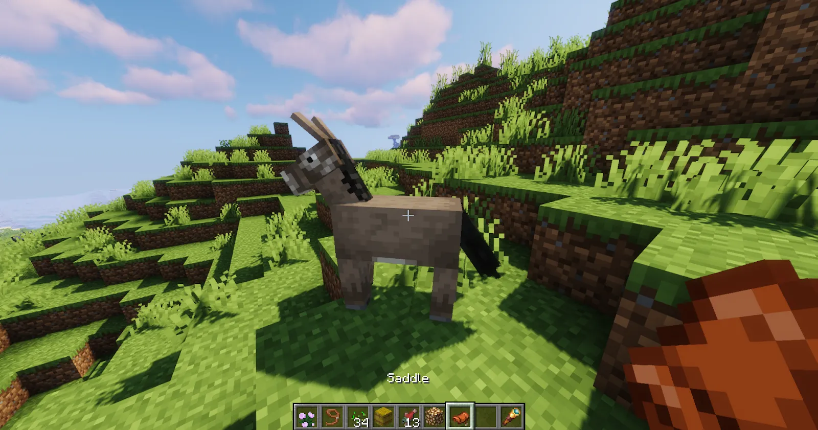 Tamed Minecraft Donkey before saddle
