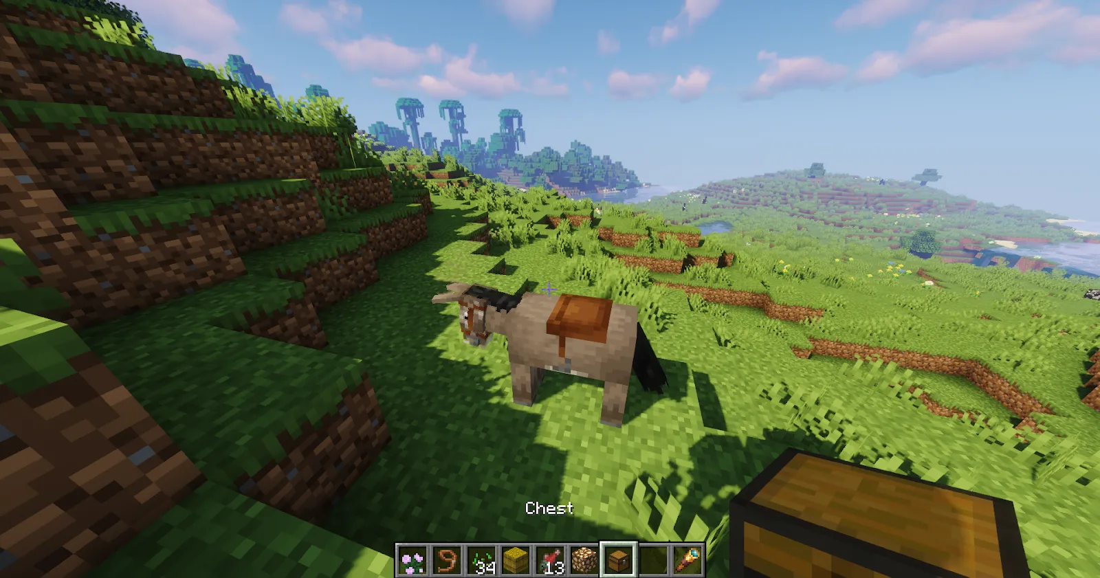 Approaching Minecraft Donkey with chest
