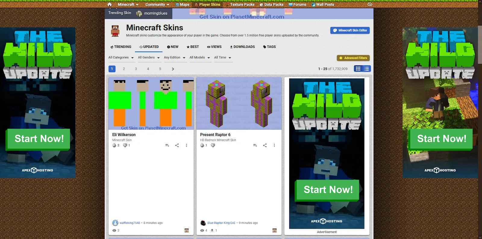 Planet Minecraft Skins Page