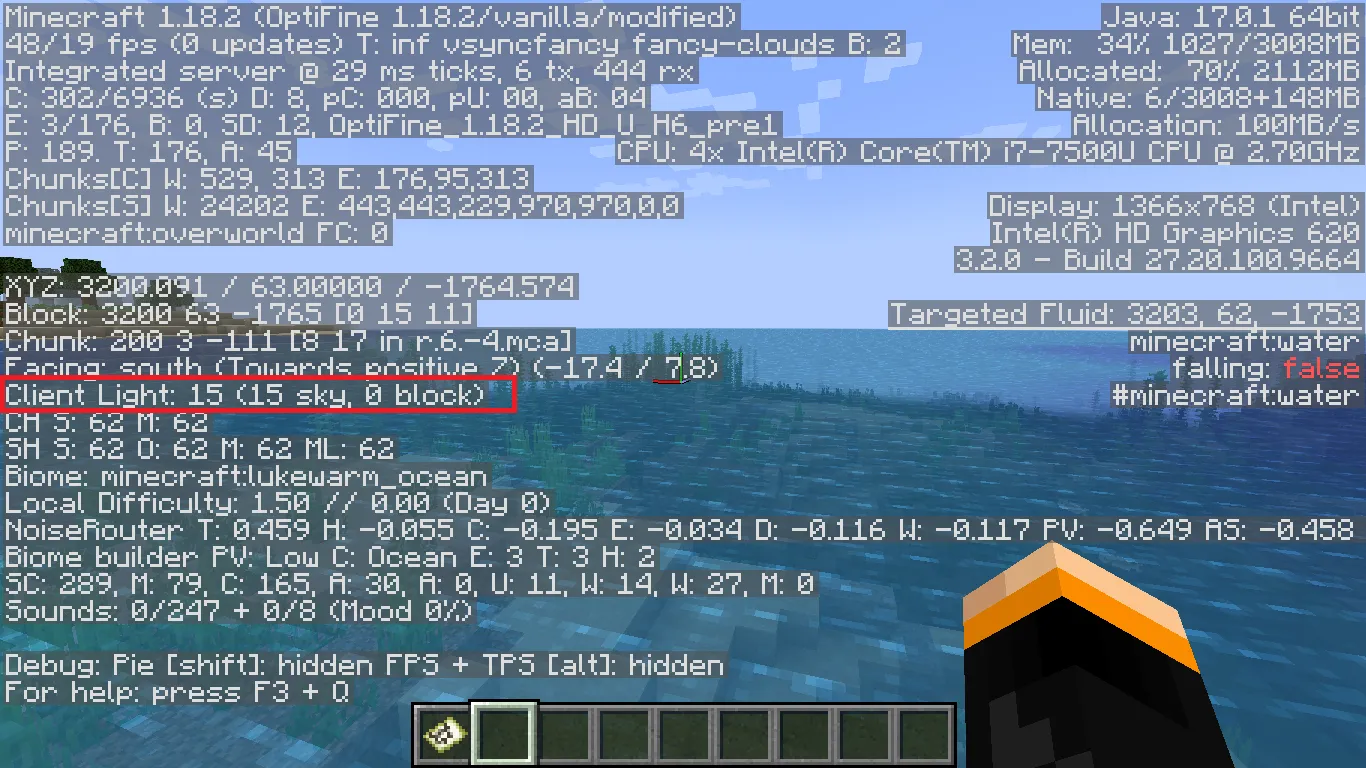 Commands to See Light Level in Minecraft