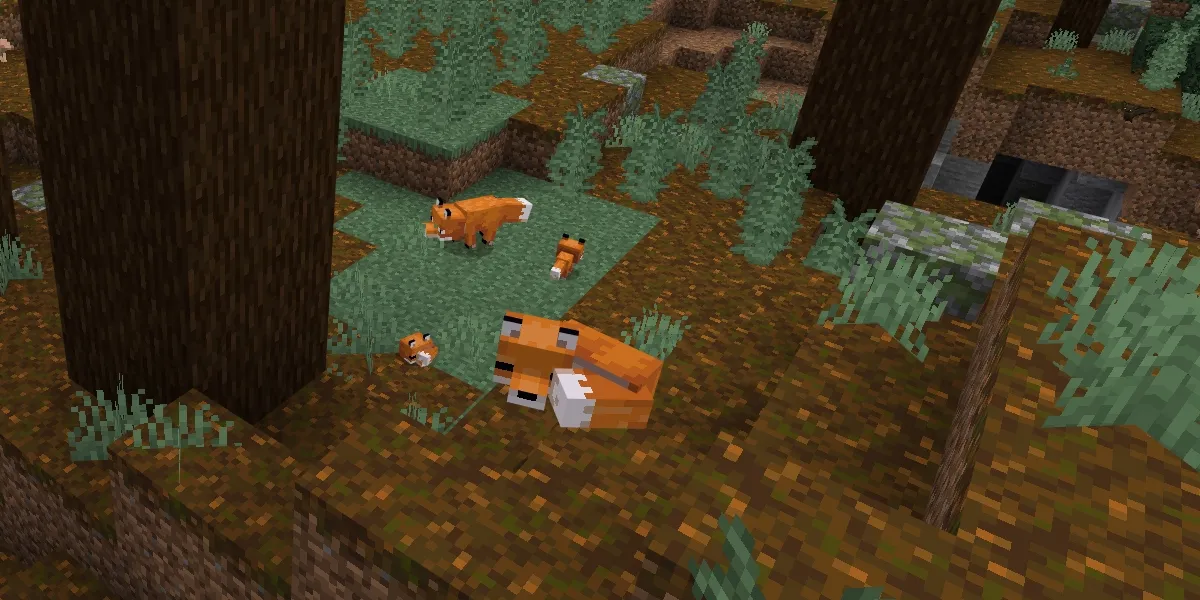 An image of foxes sleeping in Minecraft