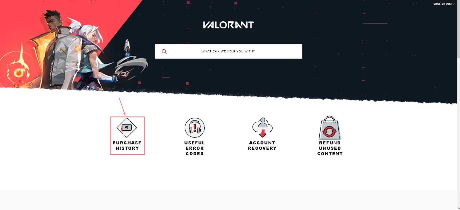 Valorant Support Purchase History Button