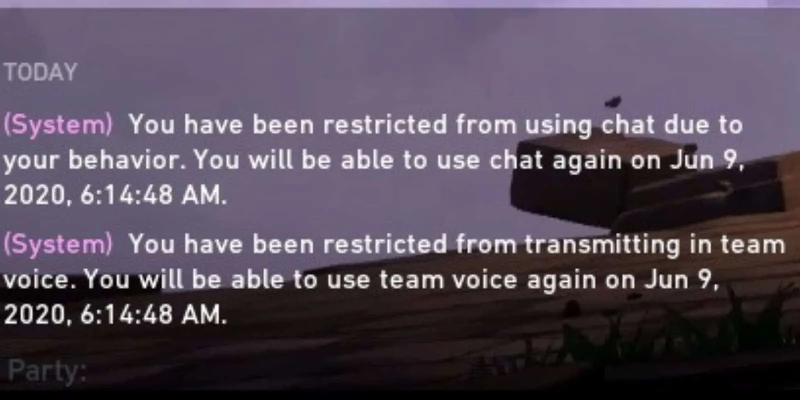 Chat System Ban
