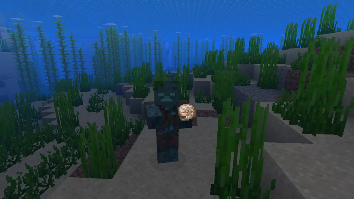 Get Nautilus Shell in Minecraft from Mob Loot