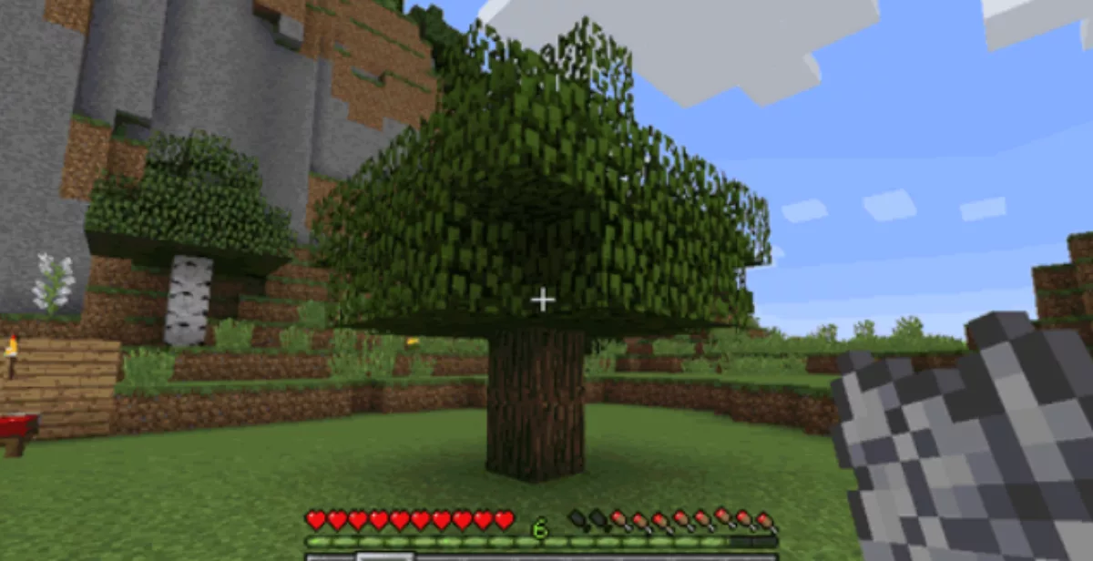 Grown Minecraft Tree