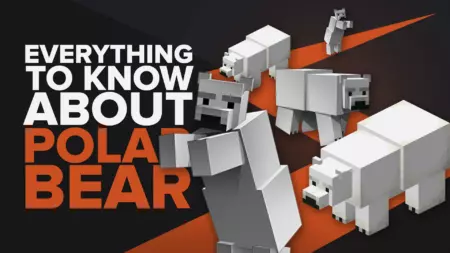 Everything You Need To Know About Polar Bears In Minecraft