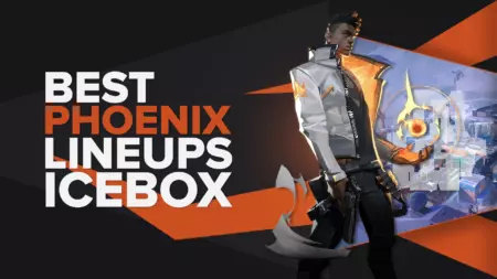 Best Phoenix Lineups On Icebox | Mollies | Walls