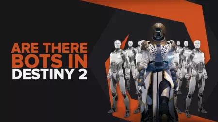Are There Bots In Destiny 2? Full Details