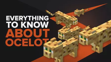 Everything You Need to Know About An Ocelot [Ultimate Ocelot Guide]