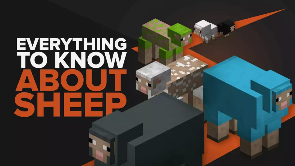 Everything You Need To Know About Sheep In Minecraft | TGG