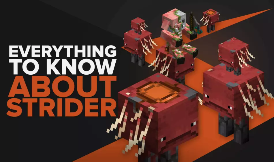 Everything You Need To Know About Striders In Minecraft