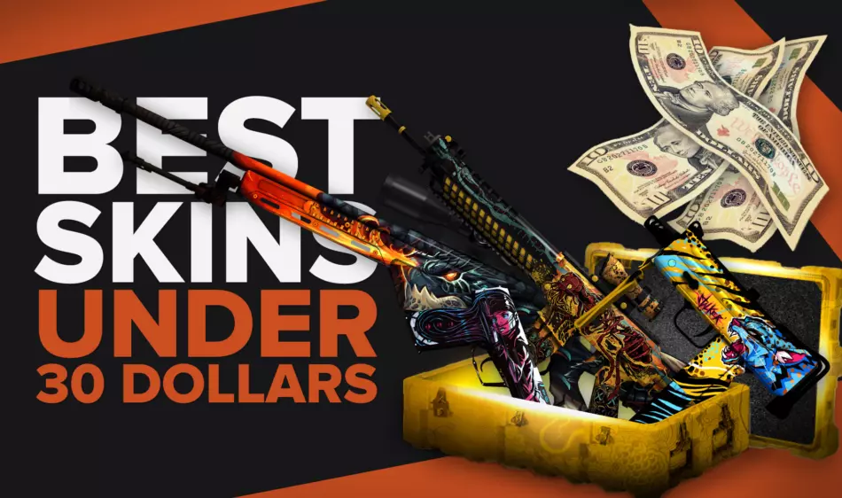 Best CSGO Skins You Can Get For Under $30