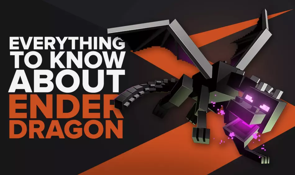 Everything You Need To Know About Ender Dragon in Minecraft