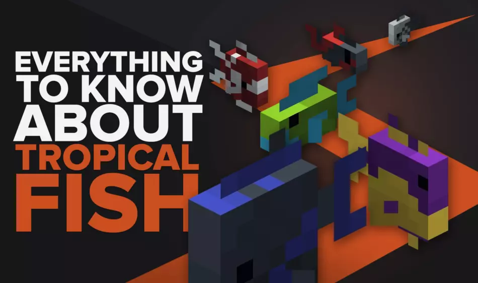 Everything You Need To Know About Tropical Fish Minecraft