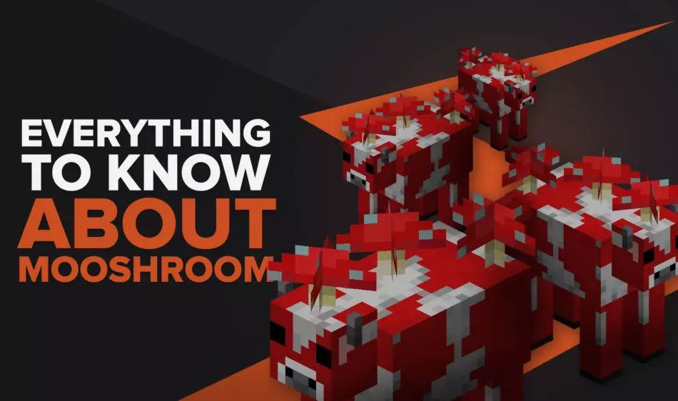Everything You Need to Know About Mooshroom