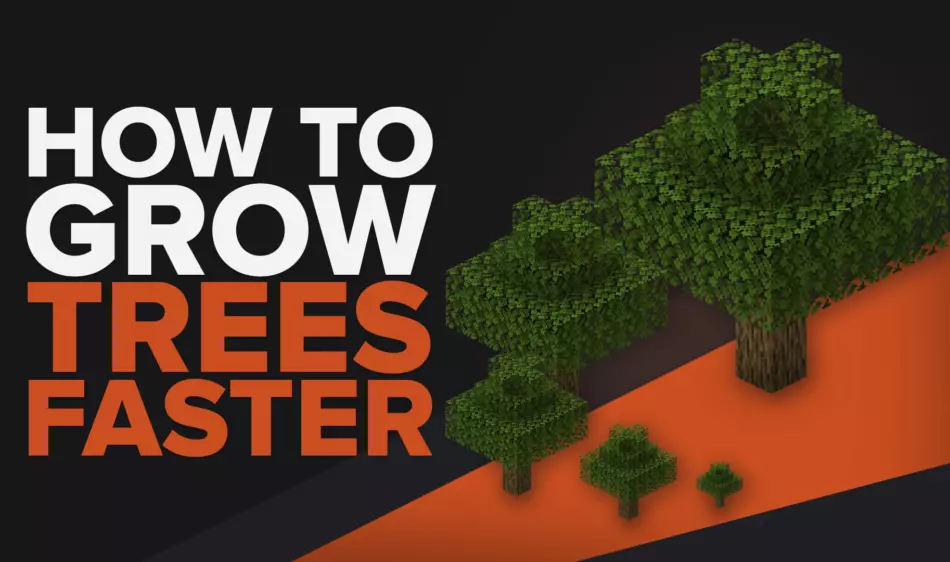 How To Make Trees Grow Faster in Minecraft