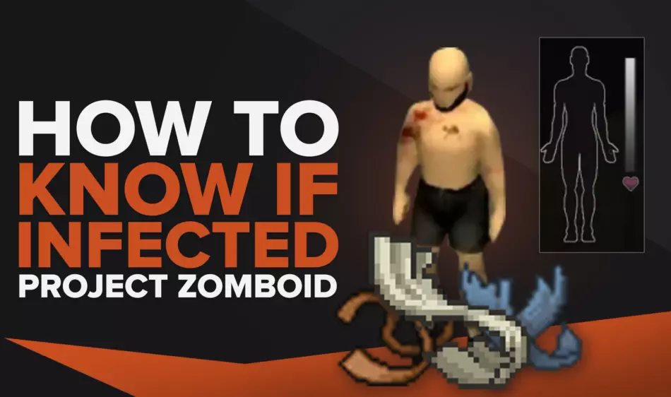 How to Tell If You are Infected in Project Zomboid?