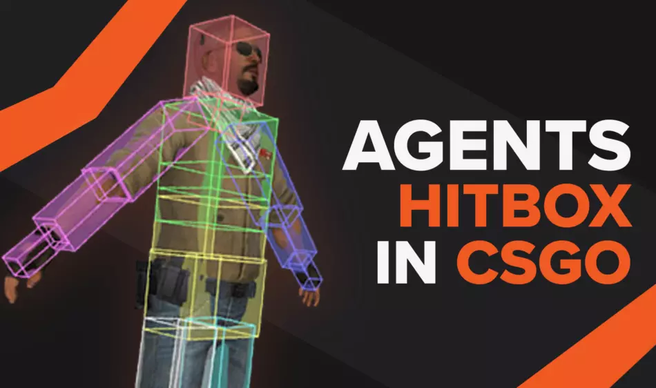 Agent Hitboxes in CS:GO | Everything you need to know