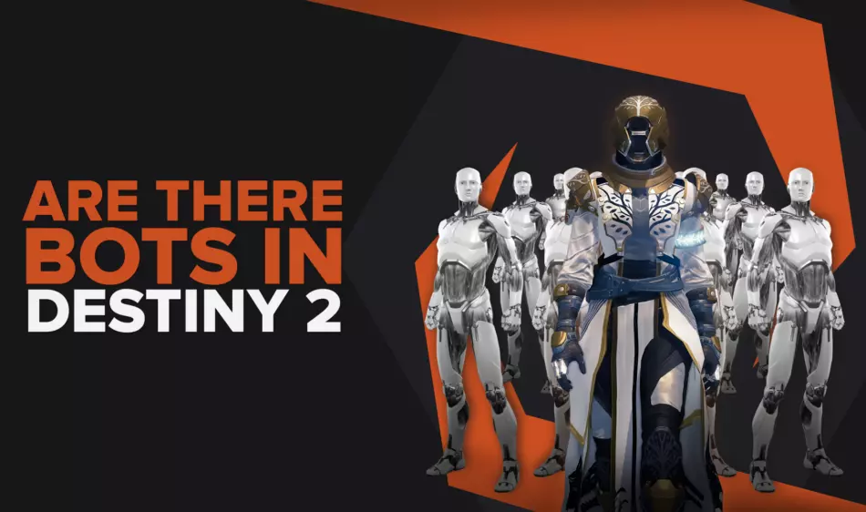 Are There Bots In Destiny 2? Full Details