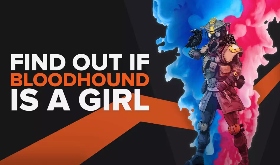Find out if Bloodhound is a Girl!