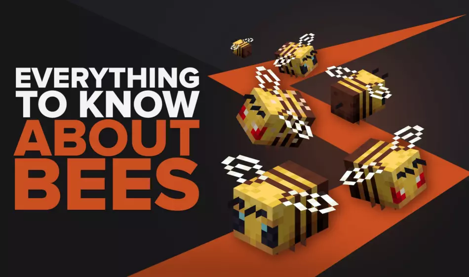 Everything you need to know about Minecraft Bees