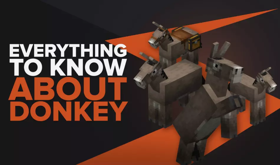 Everything you need to know about donkeys in Minecraft