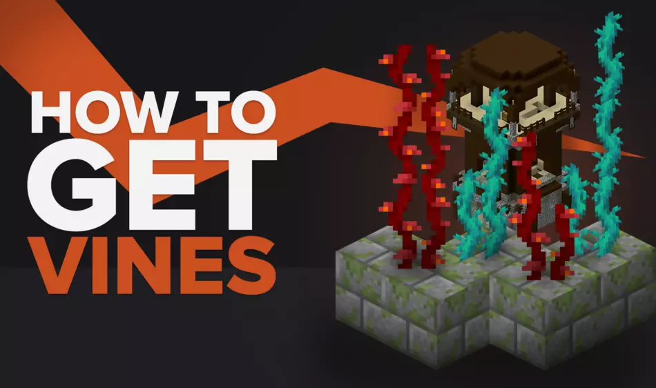 How To Get Vines in Minecraft