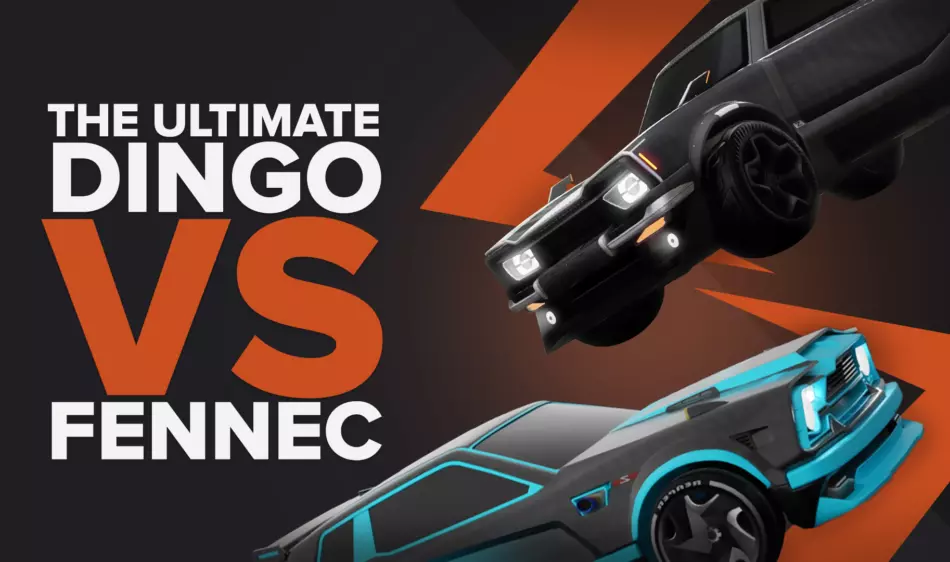The Ultimate Dingo vs Fennec Comparaison