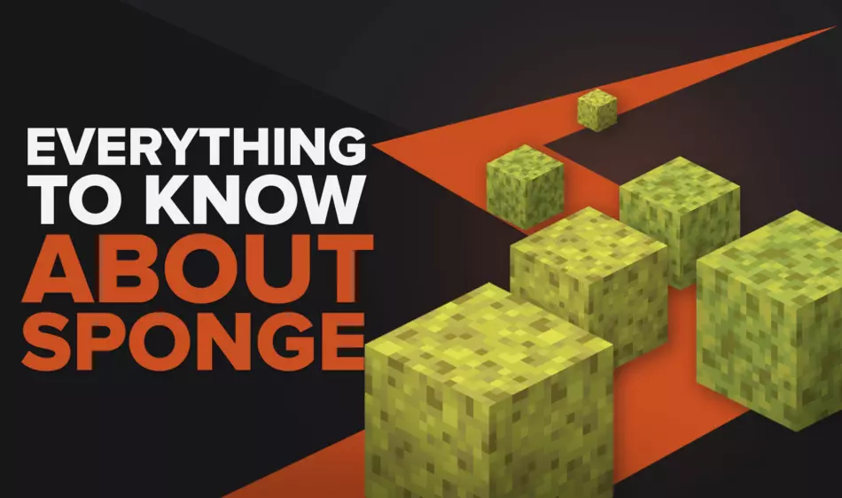 Everything You Need to Know About Sponge [Sponge Minecraft Guide]