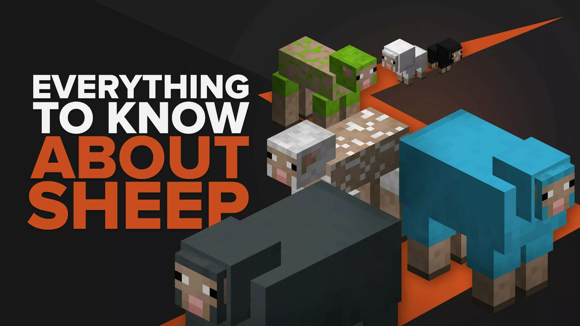 Everything You Need To Know About Sheep In Minecraft