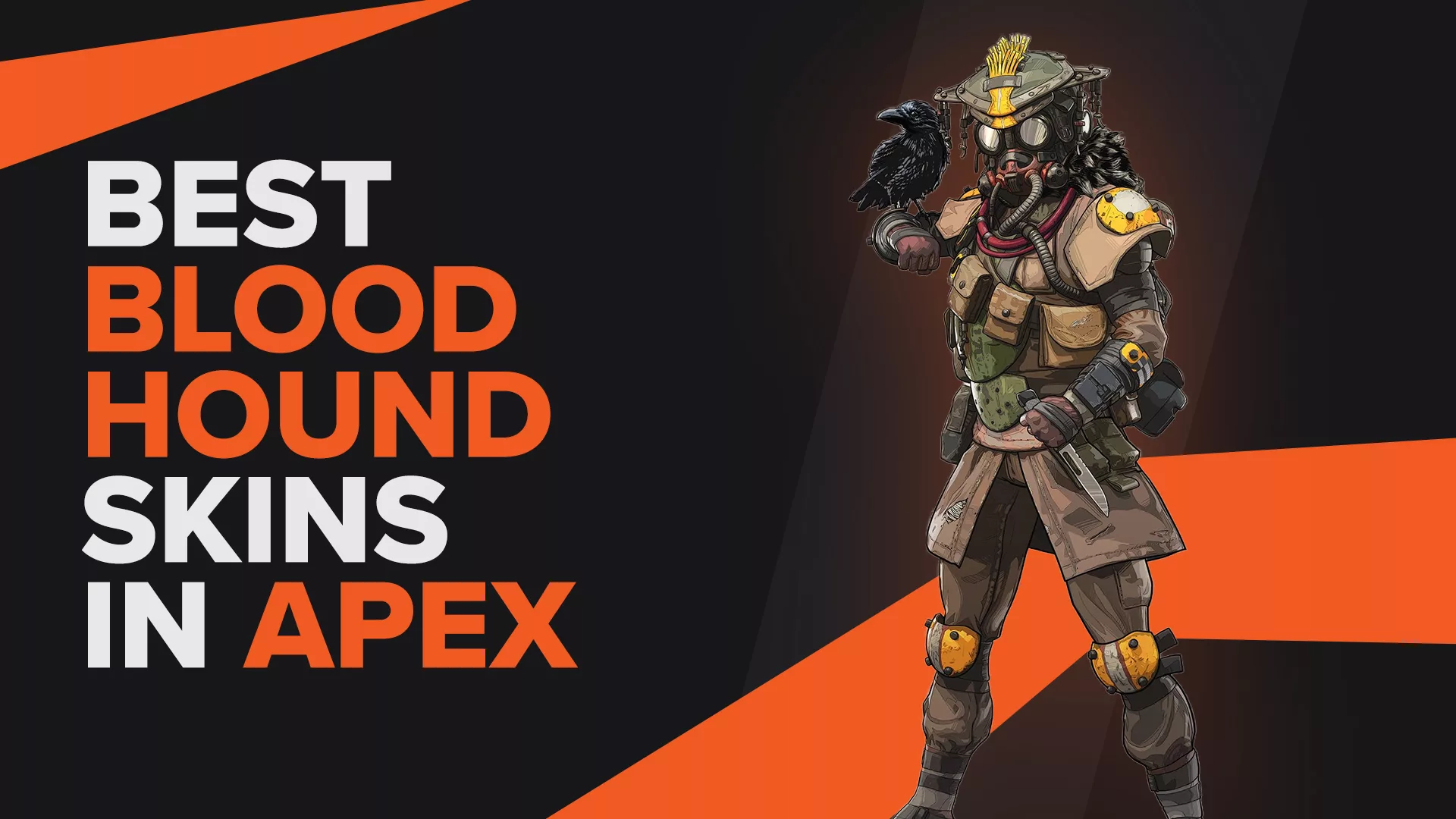 The Best Bloodhound Skins in Apex Legends that will make You stand out