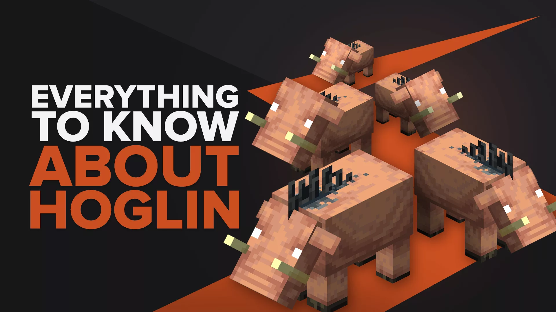 Everything You Need To Know About Hoglins