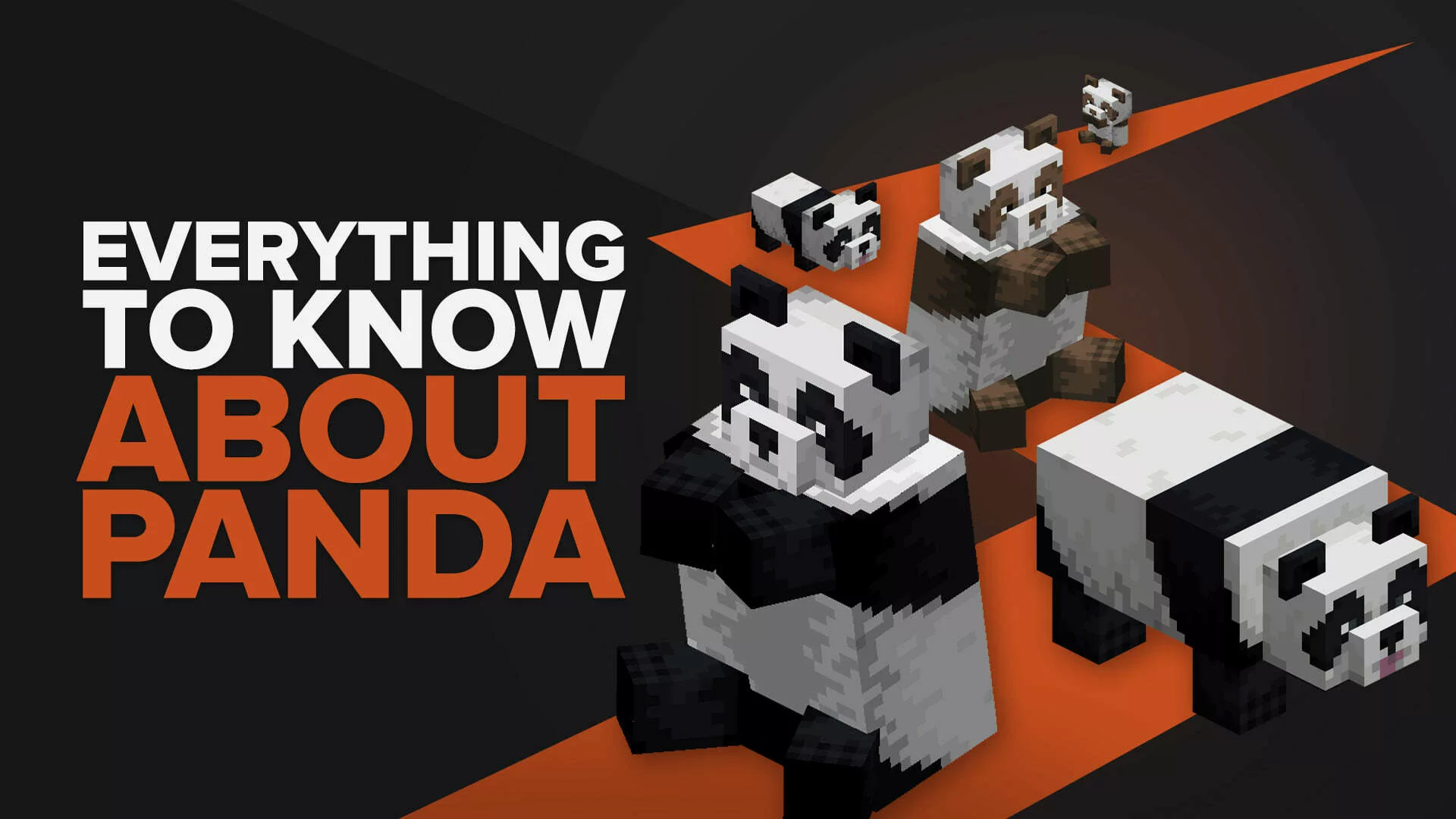 Everything You Need To Know About Minecraft Pandas